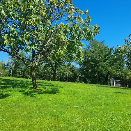 Vakantiehuis Etage Entier Independant D , Avec Terrasse, Jardin, 2 A 6 Personnes