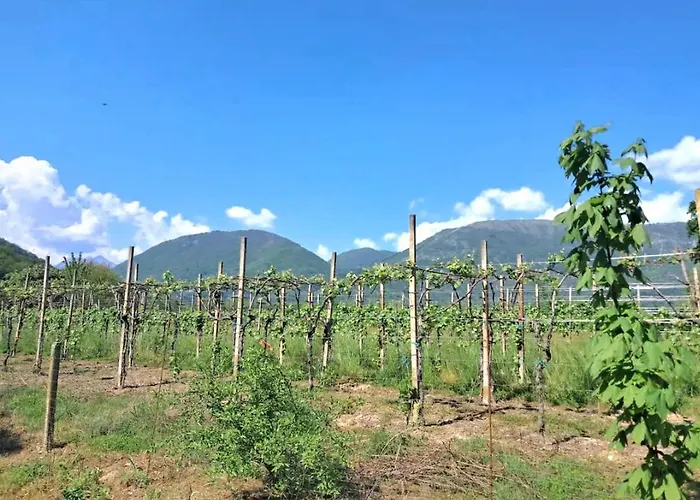 Etage Entier Independant D , Avec Terrasse, Jardin, 2 A 6 Personnes *